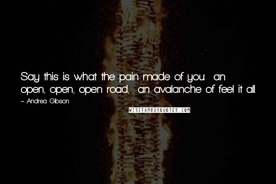 Andrea Gibson Quotes: Say this is what the pain made of you:  an open, open, open road,  an avalanche of feel it all.