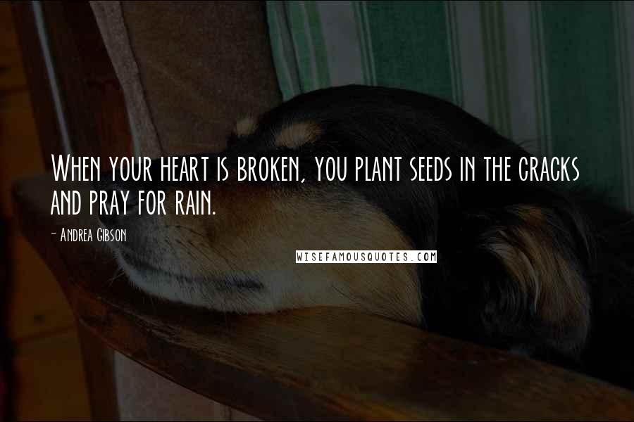 Andrea Gibson Quotes: When your heart is broken, you plant seeds in the cracks and pray for rain.