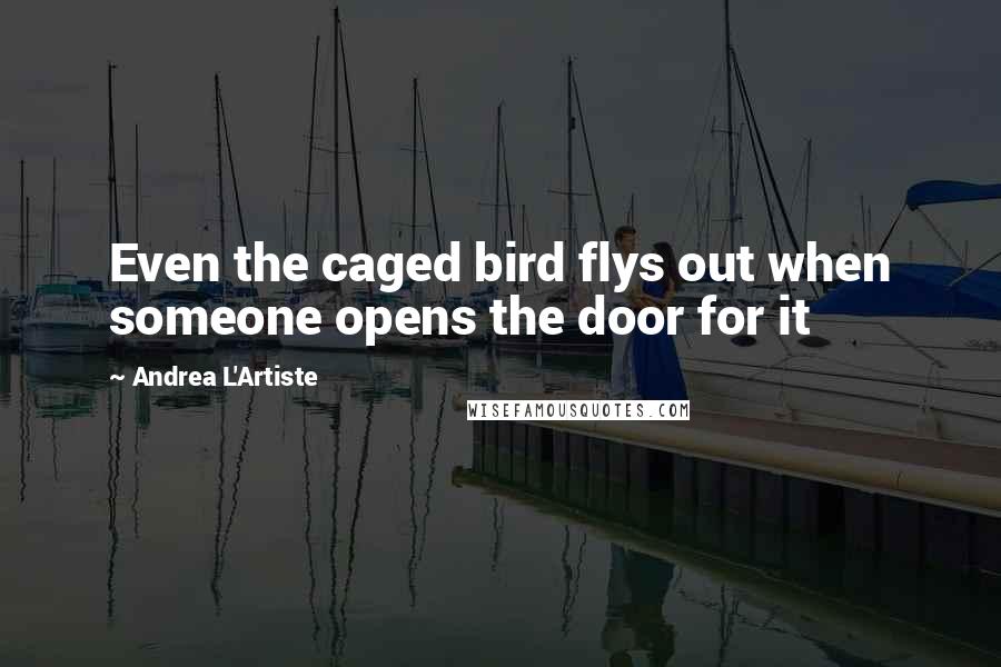 Andrea L'Artiste Quotes: Even the caged bird flys out when someone opens the door for it