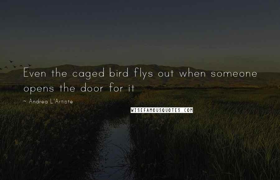 Andrea L'Artiste Quotes: Even the caged bird flys out when someone opens the door for it