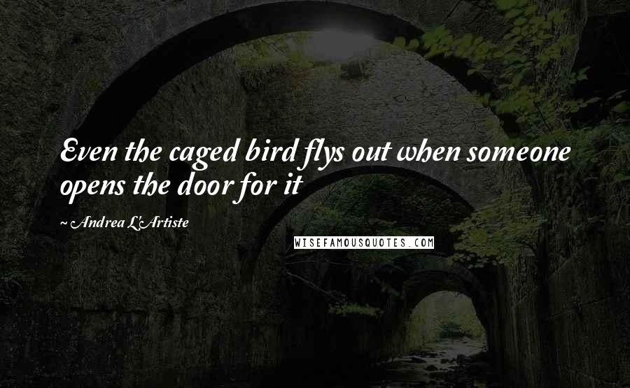 Andrea L'Artiste Quotes: Even the caged bird flys out when someone opens the door for it