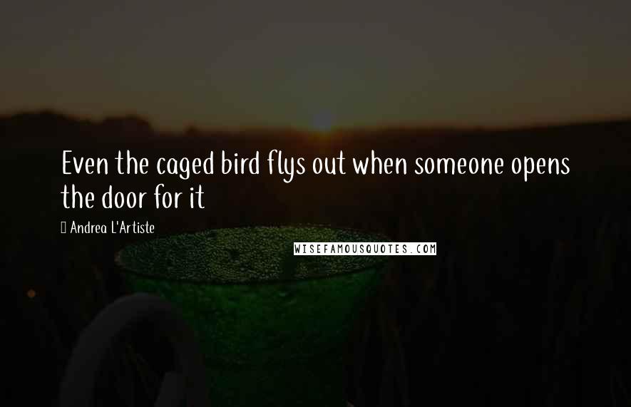 Andrea L'Artiste Quotes: Even the caged bird flys out when someone opens the door for it