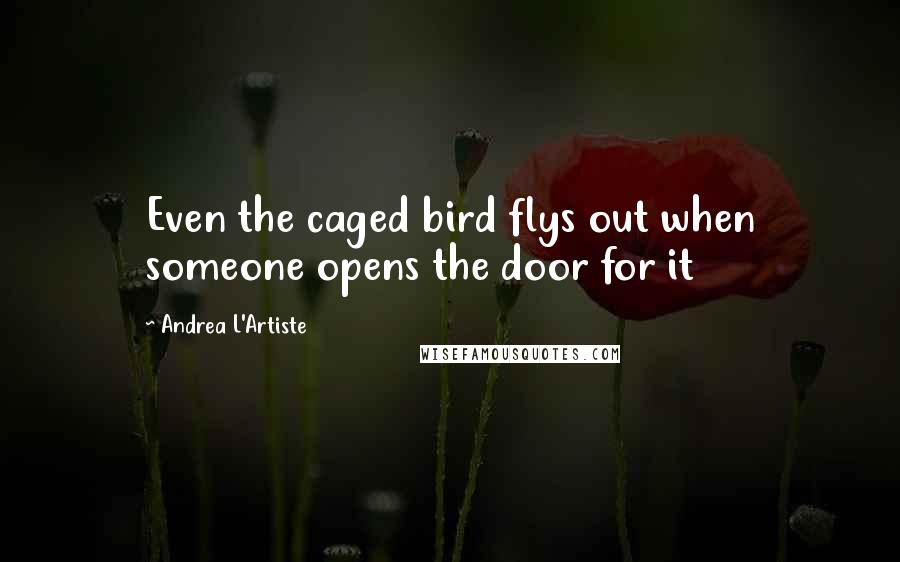 Andrea L'Artiste Quotes: Even the caged bird flys out when someone opens the door for it