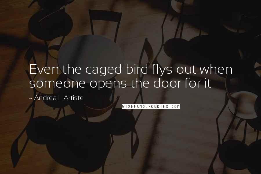 Andrea L'Artiste Quotes: Even the caged bird flys out when someone opens the door for it