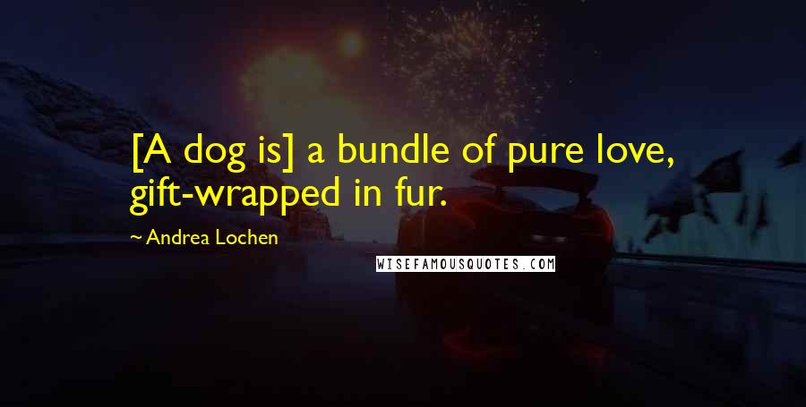 Andrea Lochen Quotes: [A dog is] a bundle of pure love, gift-wrapped in fur.