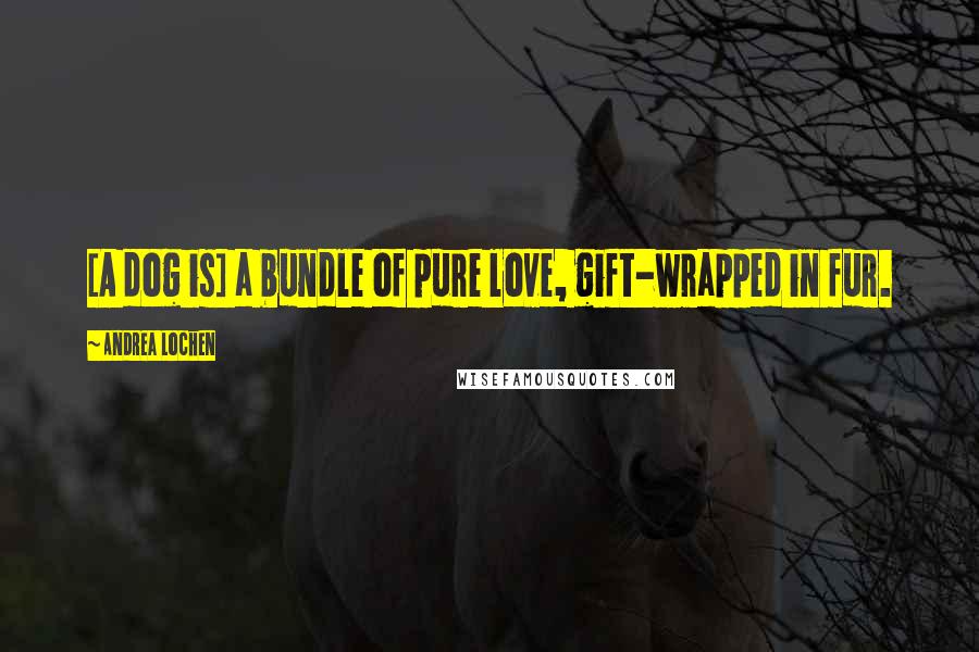 Andrea Lochen Quotes: [A dog is] a bundle of pure love, gift-wrapped in fur.