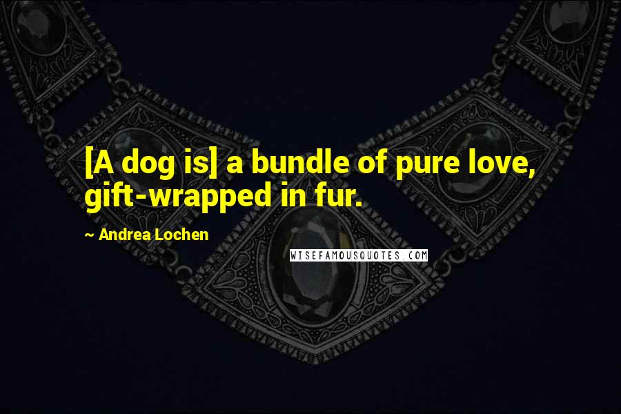 Andrea Lochen Quotes: [A dog is] a bundle of pure love, gift-wrapped in fur.
