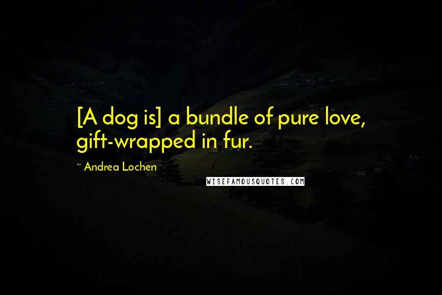 Andrea Lochen Quotes: [A dog is] a bundle of pure love, gift-wrapped in fur.