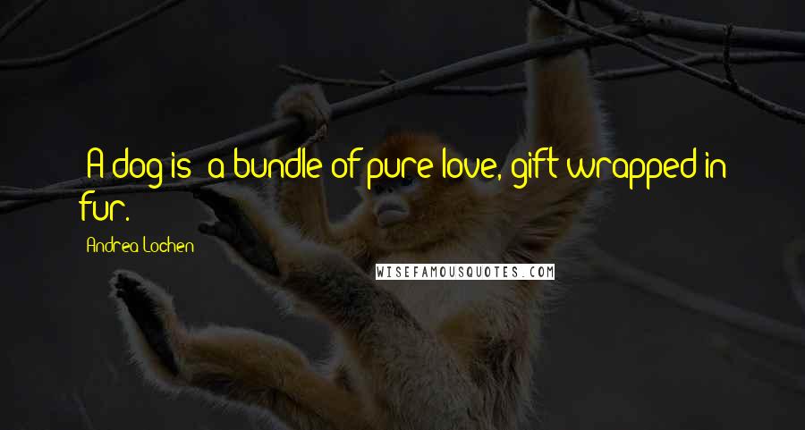 Andrea Lochen Quotes: [A dog is] a bundle of pure love, gift-wrapped in fur.