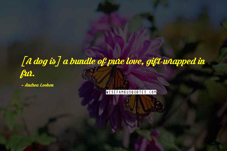 Andrea Lochen Quotes: [A dog is] a bundle of pure love, gift-wrapped in fur.