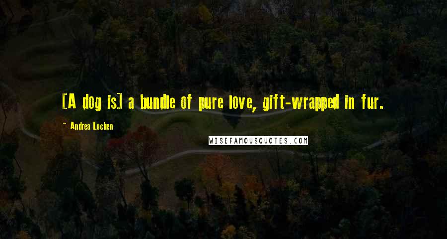 Andrea Lochen Quotes: [A dog is] a bundle of pure love, gift-wrapped in fur.