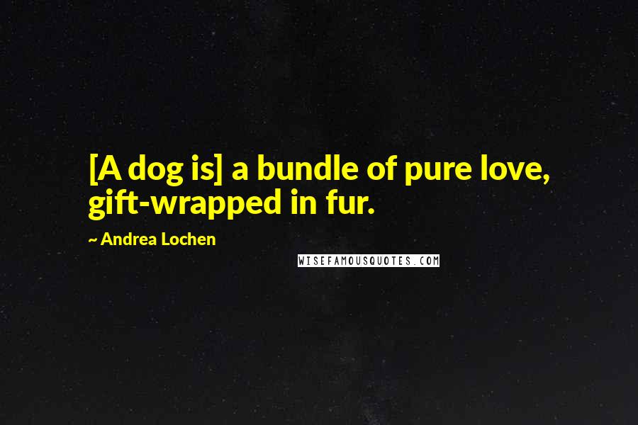 Andrea Lochen Quotes: [A dog is] a bundle of pure love, gift-wrapped in fur.