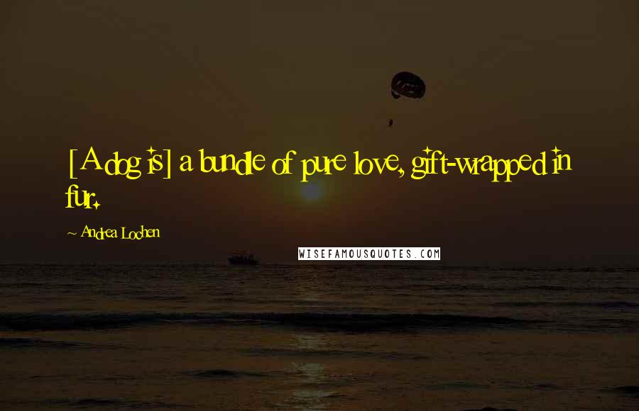 Andrea Lochen Quotes: [A dog is] a bundle of pure love, gift-wrapped in fur.