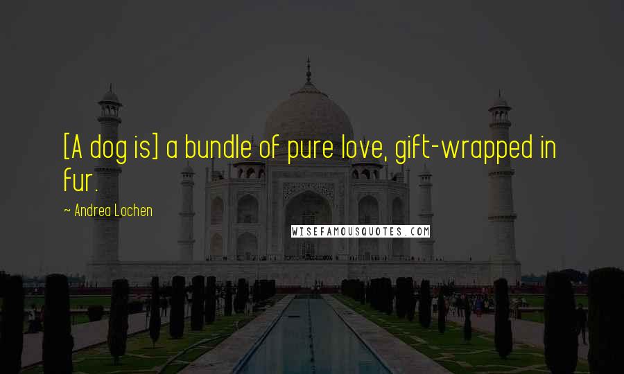 Andrea Lochen Quotes: [A dog is] a bundle of pure love, gift-wrapped in fur.