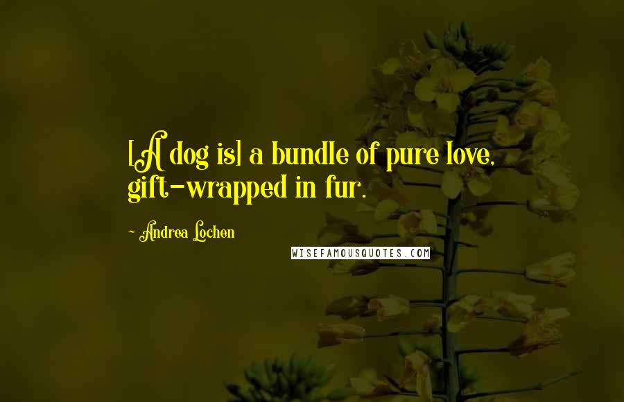 Andrea Lochen Quotes: [A dog is] a bundle of pure love, gift-wrapped in fur.