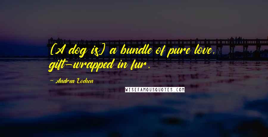 Andrea Lochen Quotes: [A dog is] a bundle of pure love, gift-wrapped in fur.