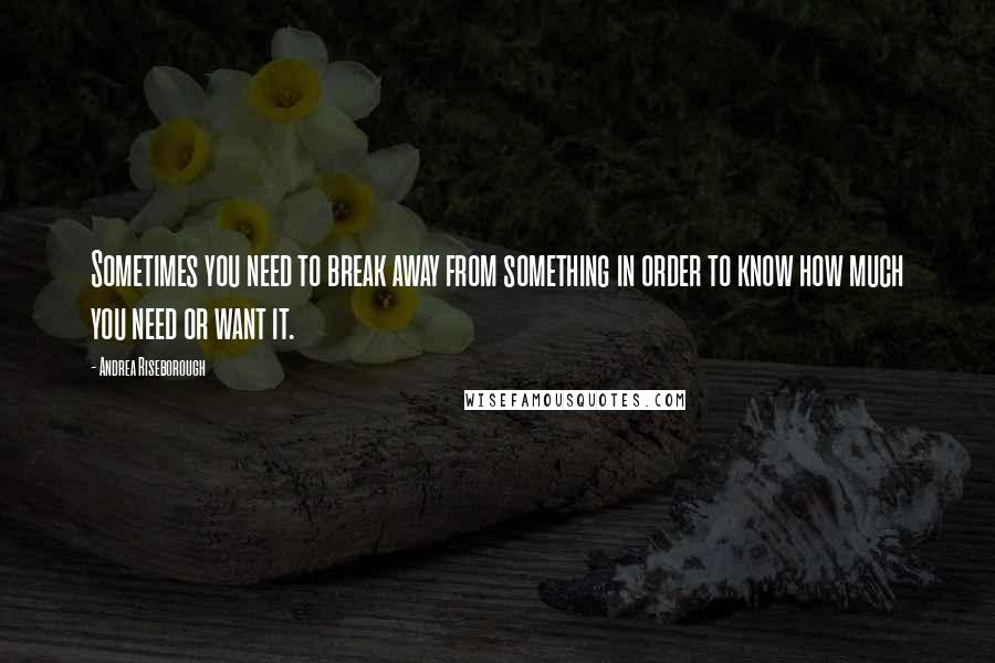 Andrea Riseborough Quotes: Sometimes you need to break away from something in order to know how much you need or want it.