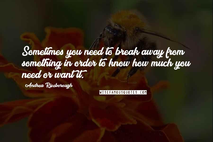 Andrea Riseborough Quotes: Sometimes you need to break away from something in order to know how much you need or want it.