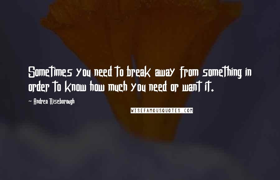 Andrea Riseborough Quotes: Sometimes you need to break away from something in order to know how much you need or want it.