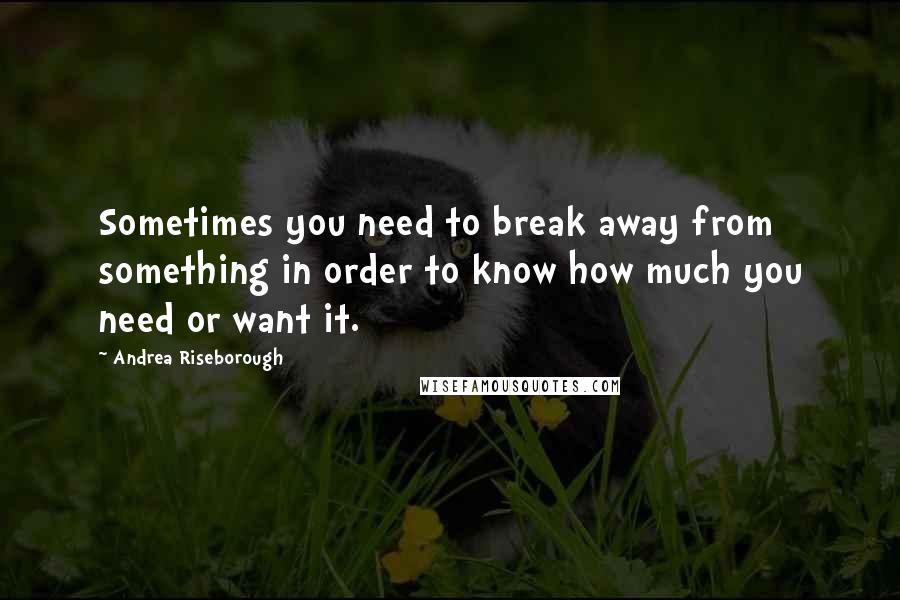 Andrea Riseborough Quotes: Sometimes you need to break away from something in order to know how much you need or want it.