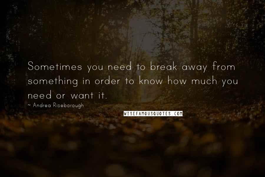 Andrea Riseborough Quotes: Sometimes you need to break away from something in order to know how much you need or want it.