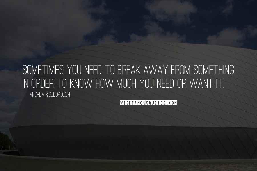 Andrea Riseborough Quotes: Sometimes you need to break away from something in order to know how much you need or want it.