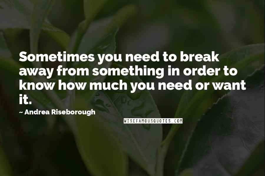 Andrea Riseborough Quotes: Sometimes you need to break away from something in order to know how much you need or want it.