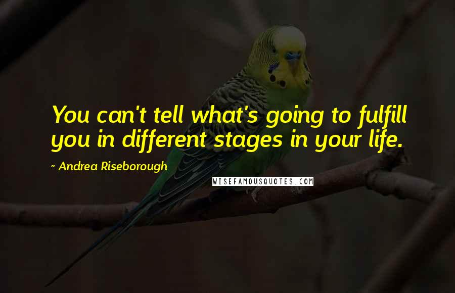 Andrea Riseborough Quotes: You can't tell what's going to fulfill you in different stages in your life.