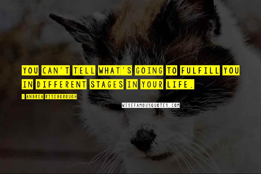 Andrea Riseborough Quotes: You can't tell what's going to fulfill you in different stages in your life.