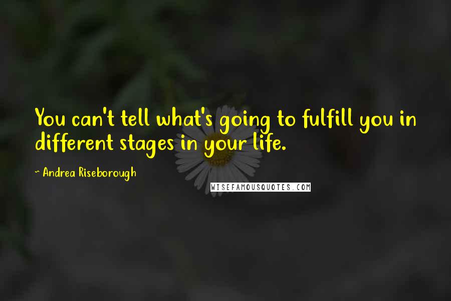 Andrea Riseborough Quotes: You can't tell what's going to fulfill you in different stages in your life.
