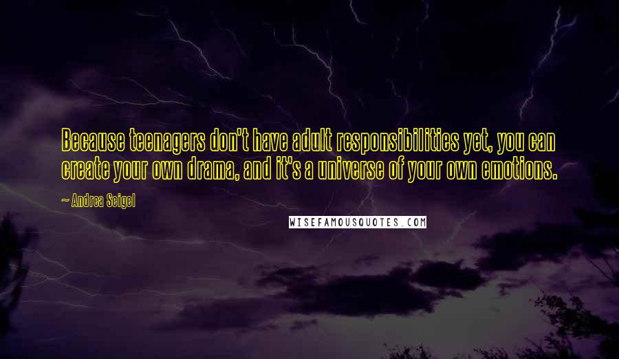 Andrea Seigel Quotes: Because teenagers don't have adult responsibilities yet, you can create your own drama, and it's a universe of your own emotions.