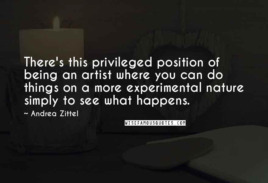 Andrea Zittel Quotes: There's this privileged position of being an artist where you can do things on a more experimental nature simply to see what happens.