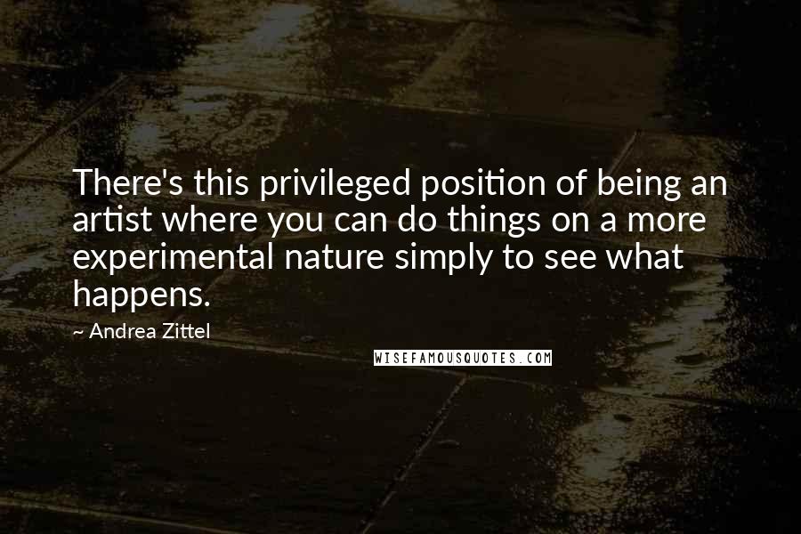 Andrea Zittel Quotes: There's this privileged position of being an artist where you can do things on a more experimental nature simply to see what happens.