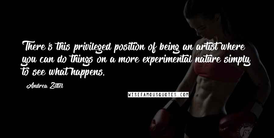 Andrea Zittel Quotes: There's this privileged position of being an artist where you can do things on a more experimental nature simply to see what happens.