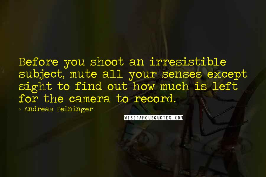 Andreas Feininger Quotes: Before you shoot an irresistible subject, mute all your senses except sight to find out how much is left for the camera to record.