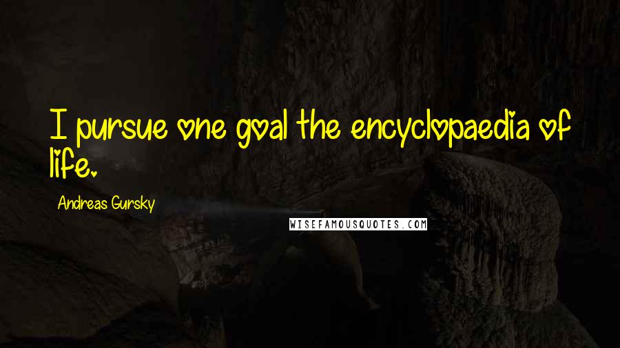 Andreas Gursky Quotes: I pursue one goal the encyclopaedia of life.