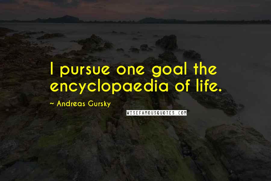 Andreas Gursky Quotes: I pursue one goal the encyclopaedia of life.