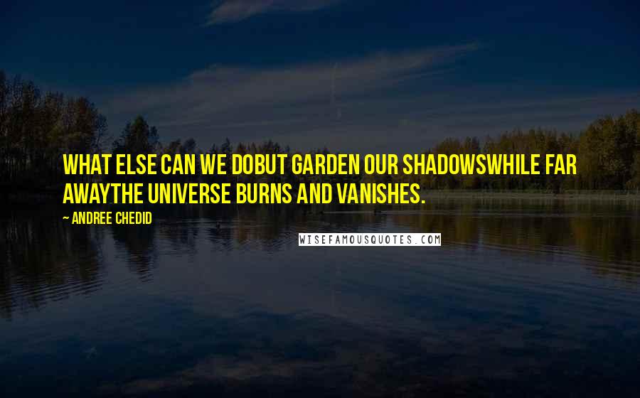 Andree Chedid Quotes: What else can we dobut garden our shadowswhile far awaythe universe burns and vanishes.