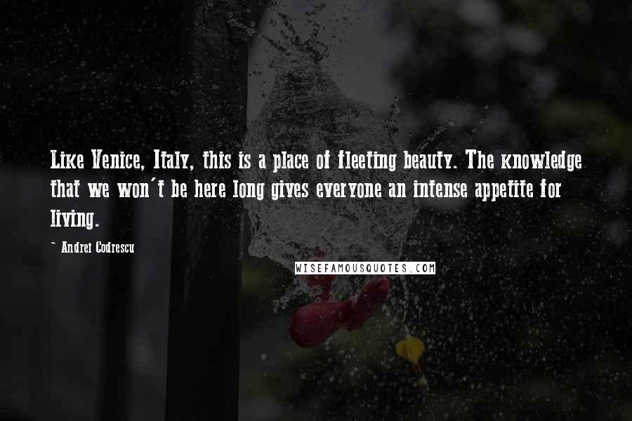 Andrei Codrescu Quotes: Like Venice, Italy, this is a place of fleeting beauty. The knowledge that we won't be here long gives everyone an intense appetite for living.