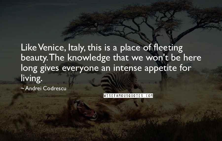 Andrei Codrescu Quotes: Like Venice, Italy, this is a place of fleeting beauty. The knowledge that we won't be here long gives everyone an intense appetite for living.