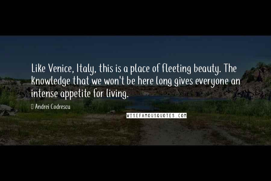 Andrei Codrescu Quotes: Like Venice, Italy, this is a place of fleeting beauty. The knowledge that we won't be here long gives everyone an intense appetite for living.