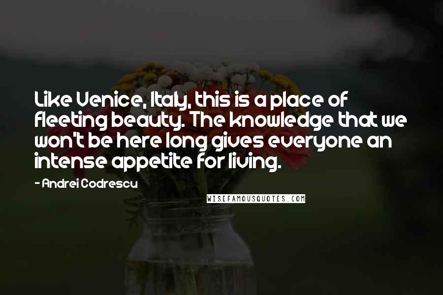 Andrei Codrescu Quotes: Like Venice, Italy, this is a place of fleeting beauty. The knowledge that we won't be here long gives everyone an intense appetite for living.