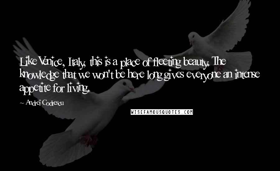Andrei Codrescu Quotes: Like Venice, Italy, this is a place of fleeting beauty. The knowledge that we won't be here long gives everyone an intense appetite for living.