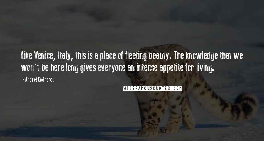 Andrei Codrescu Quotes: Like Venice, Italy, this is a place of fleeting beauty. The knowledge that we won't be here long gives everyone an intense appetite for living.