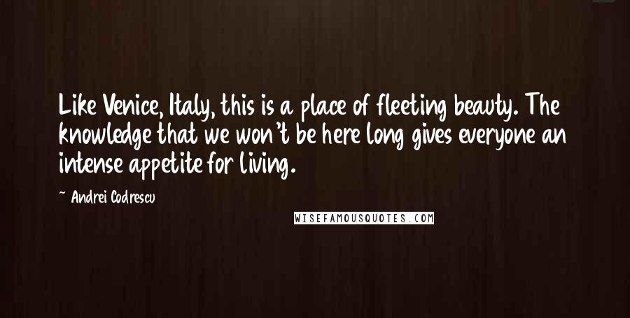 Andrei Codrescu Quotes: Like Venice, Italy, this is a place of fleeting beauty. The knowledge that we won't be here long gives everyone an intense appetite for living.