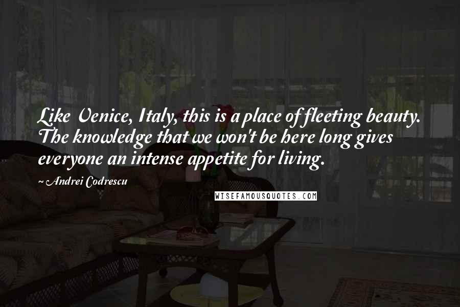 Andrei Codrescu Quotes: Like Venice, Italy, this is a place of fleeting beauty. The knowledge that we won't be here long gives everyone an intense appetite for living.