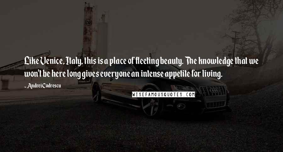 Andrei Codrescu Quotes: Like Venice, Italy, this is a place of fleeting beauty. The knowledge that we won't be here long gives everyone an intense appetite for living.