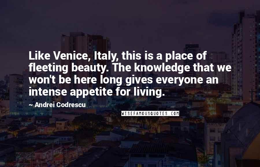 Andrei Codrescu Quotes: Like Venice, Italy, this is a place of fleeting beauty. The knowledge that we won't be here long gives everyone an intense appetite for living.