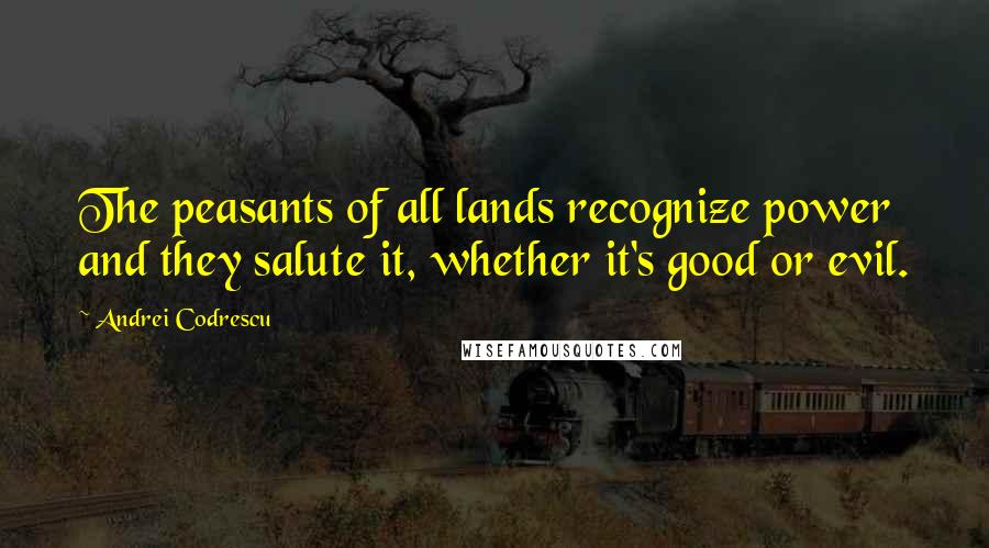 Andrei Codrescu Quotes: The peasants of all lands recognize power and they salute it, whether it's good or evil.