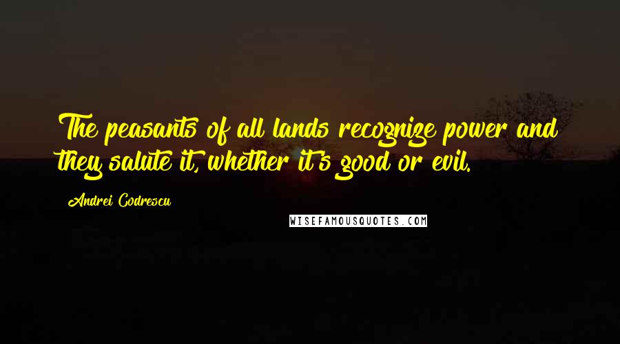 Andrei Codrescu Quotes: The peasants of all lands recognize power and they salute it, whether it's good or evil.